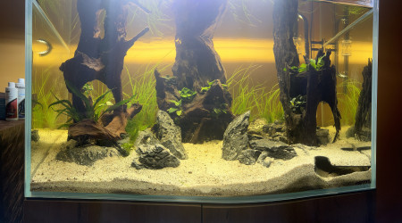 aquarium Aquael Ultrascape 90