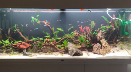 aquarium Juwel Rio 240L