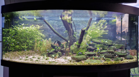 aquarium Juwel vision 450