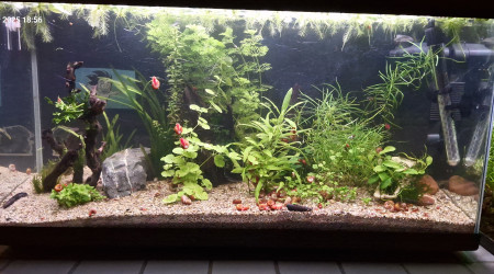 aquarium 100 l schnack