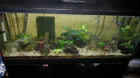 aquarium Aqua3