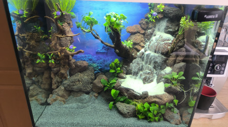 aquarium Juwel 120 l