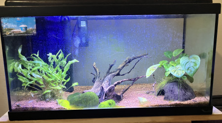 aquarium 60L Led