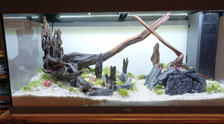 aquarium 180L