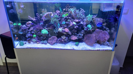 aquarium Marin 400l