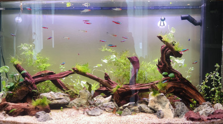 aquarium Juwel Vision 180