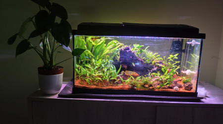 aquarium Aquarium 60l