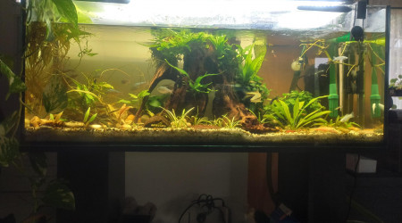 aquarium 120L