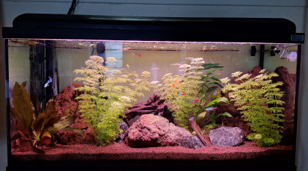 aquarium Aquarium 80L