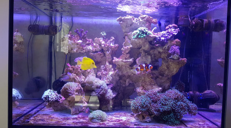 aquarium Elos 70