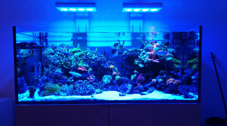 aquarium ELOS 120