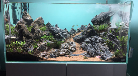 aquarium Moutainscape