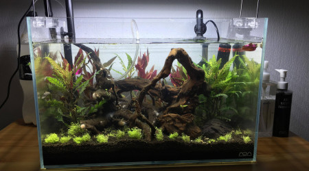 aquarium Nano Amazonien 34L