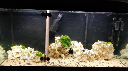 aquarium Élevage 220L