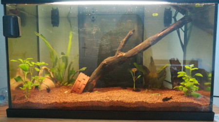 aquarium 70l