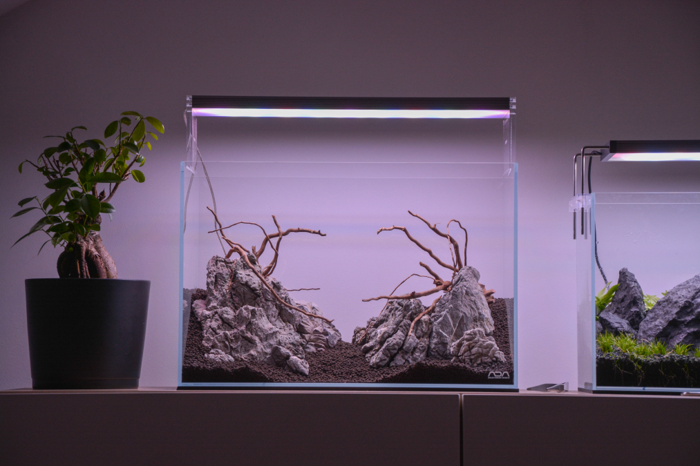 ADA 45P Dry Start Step-by-Step Aquascaping Tutorial, 48% OFF