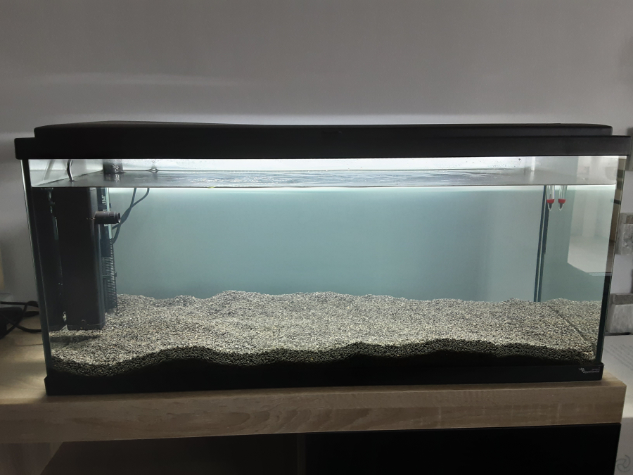 Mon aquarium avec du sable manado 