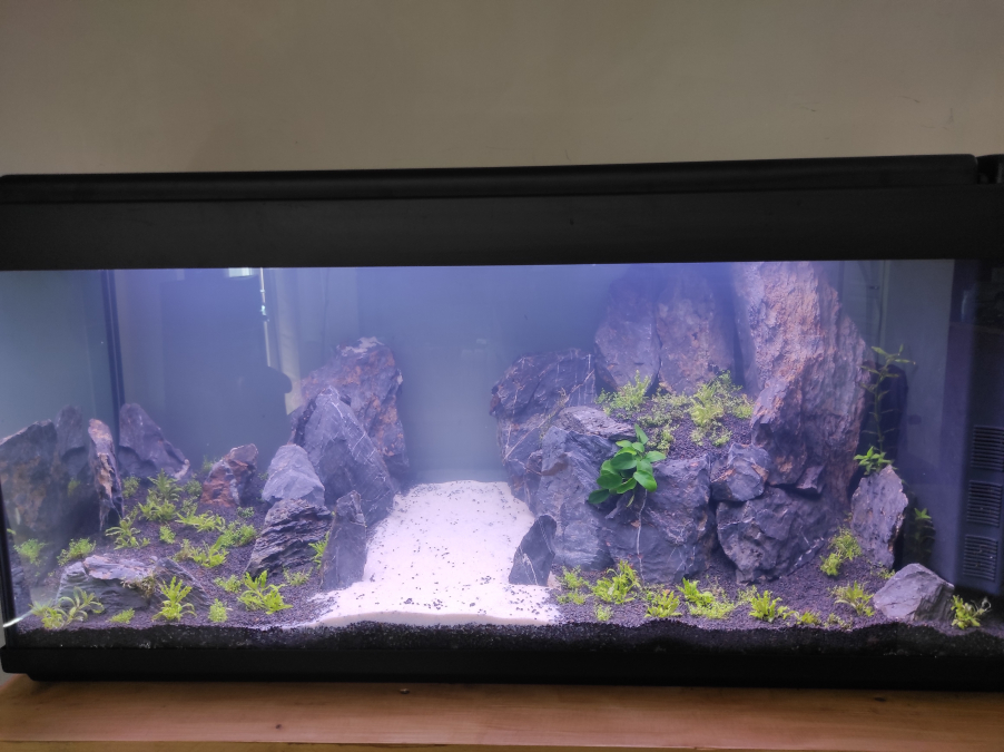 modification de mon ancien aquarium