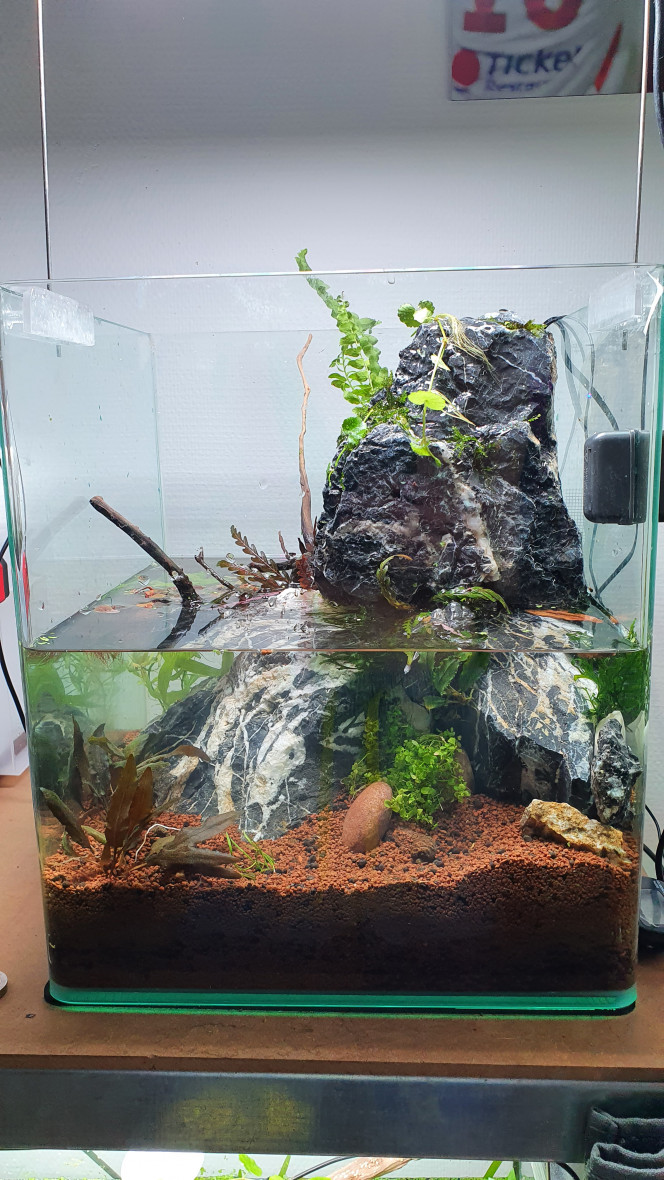 Nouveaux 30l Cascade J Ai Enfin Decide De Refaire Mon 30l Dans Un Nouveaux Pro