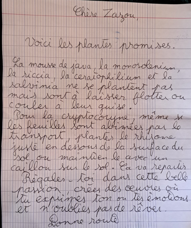 Boutures Grâce à un membre du groupe très attentionné (qui se reconnaîtra si il passe par là) j'ai pu commencer cet aquarium en temps que novice en crevette blue velvet. Encore une semaine de patience avant de les introduire ! 

Encore merci à toi pour ta gentillesse et ta confiance ?