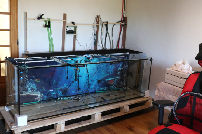 Avant mise sur meuble L'aquarium avnt le mise sur le meuble avec les différents tuyaux et branchements électique.
On voit au millieu tout un tat des cables blanche et un bloque noir. Ce sont les allimentations à 12 volts pour les lumières (avec 1 bloque d'allimentation).

Adroit on voit une tuyaux rouge (arrivé d'eau) et une vert/noir foncé (evacuation d'eau vers l'extérieur).

J'avais démarré l'aquarium avec 1 pompe à air, mais j'ai ajouté une deusième car c'était quand mêm limite.