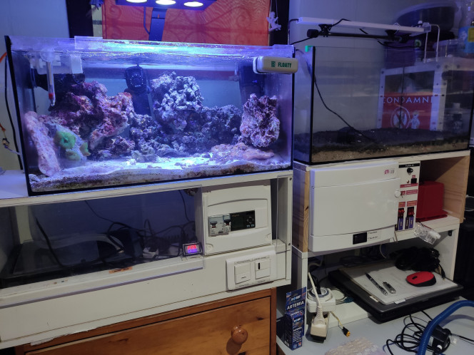 Pièce dans ma cave chauffée avec mon aquarium récifal Cet aquarium est géré par un automate programmable pou :
- Maintien d'un niveau constant dans le bac (teneur en sel fixe)
- Eclairages jour et lampe bleues led, une partie du temps de nuit
- d'autres gestions qu'il est difficile d'expliquer succinctement.