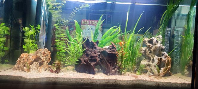  Fluval 396L