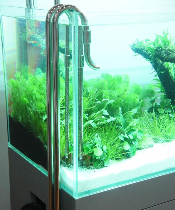 Filtre Externe 2000 l/h pour aquarium eau douce et eau de mer : Avec  accessoires - Le Poisson Qui Jardine