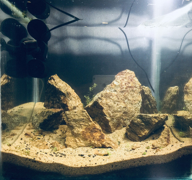 hardscape 2 