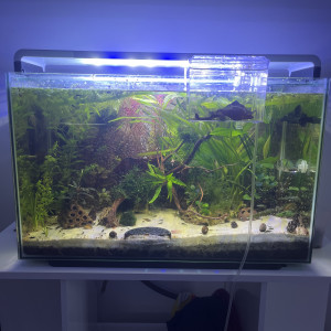 110l