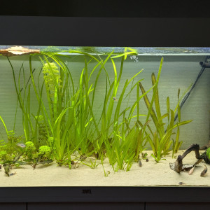 Rio 240 - Chambre