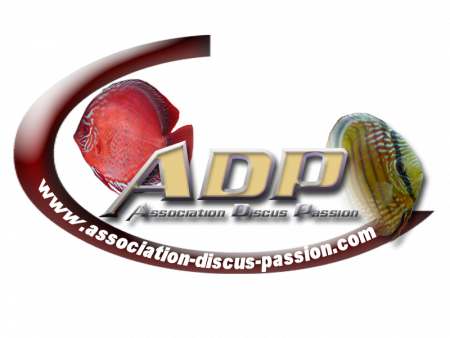 club ADP - Association Discus Passion