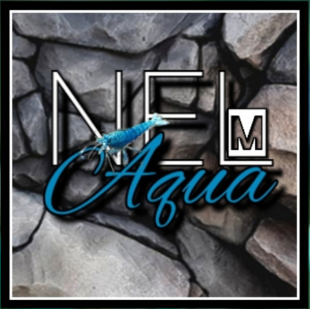 aquariophile Nelaqua