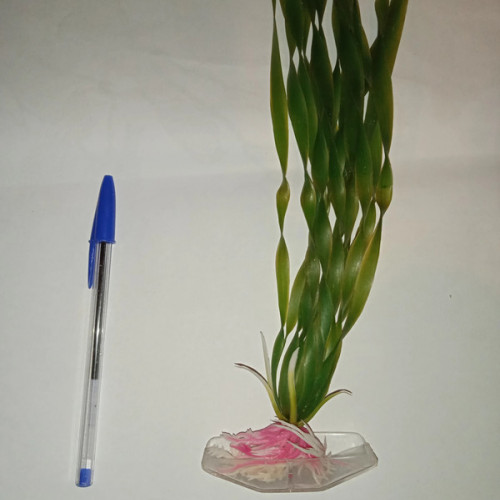 Plante artificielle aquarium type vallisneria