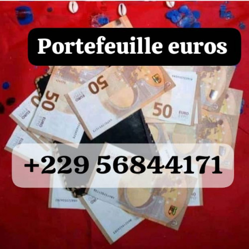 Le vrai portefeuille magique en euro, +229 56 84 41 71