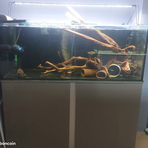 aquarium complet eheim  sans renforts, racines, filtres, meuble etc