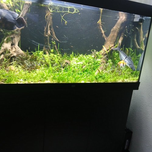 Aquarium 350 L