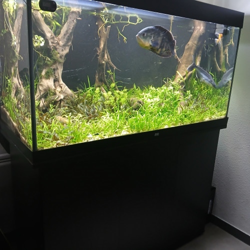 Aquarium 350 L