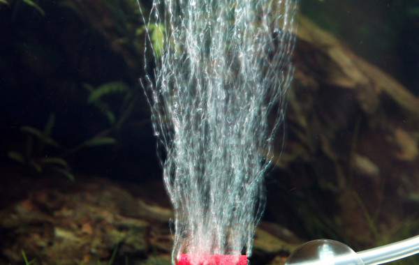 Airstone Superfish - Pierre pour l'oxygénation du bassin
