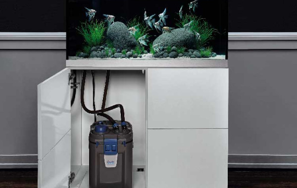 DingLong Home Filtre Intérieur Aquarium avec 4W Pompe à Eau d'Un Débit de  300L / H, Filtre Interne pour Aquarium d'eau Douce de 60L, Filtre intérieur
