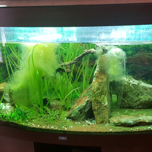 Aquarium JUWEL modèle vision 260