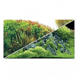 Poster HOBBY Planted River / Green Rocks 100x50cm