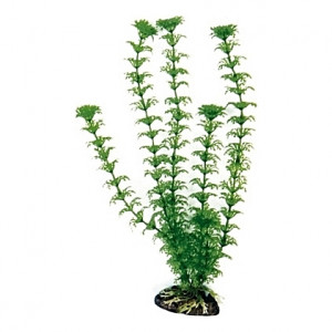 Plante artificielle Cabomba 18cm