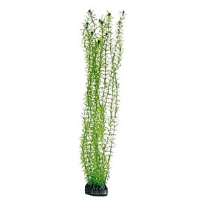 Plante artificielle Lagarosiphon 60cm