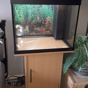 AQUARIUM JUWEL 80L