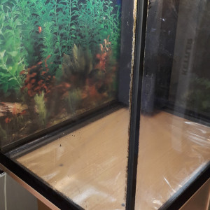 AQUARIUM JUWEL 80L