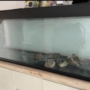 Aquarium 300L