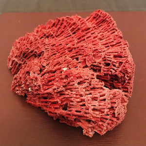 Magnifique bloc de corail rouge