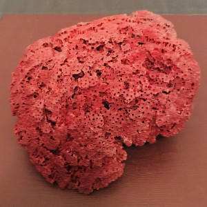 Magnifique bloc de corail rouge pour aquarium d'eau de mer