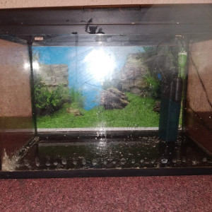 Aquarium 50l